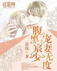 腹黑宸少，宠妻无度