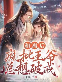 和離後瘋批王爺總想破戒