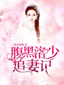 腹黑洛少追妻记