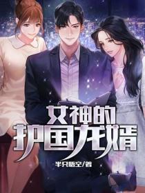 女神的護國龍婿