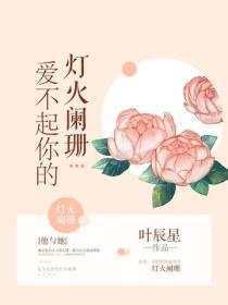 爱不起你的灯火阑珊