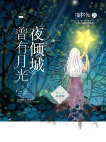 曾有月光夜倾城