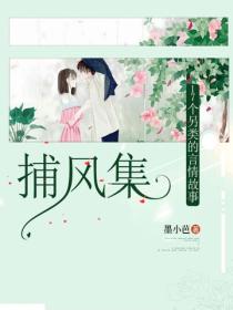 捕风集：17个另类的言情故事