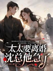 太太要离婚，沈总他急了