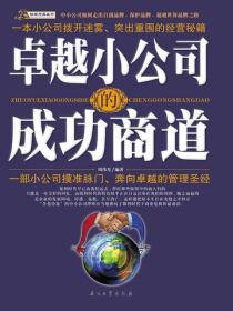 卓越小公司的成功商道