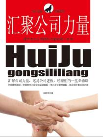 汇聚公司力量：提升本土公司团队力量的第一本书
