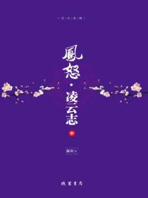 凤怒·凌云志（中）