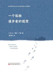 一个孤独漫步者的遐想