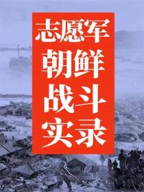 志愿军朝鲜战斗实录