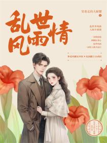 乱世风雨情