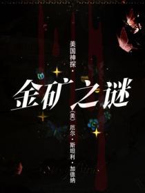 美国神探·金矿之谜