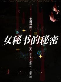美国神探·女秘书的秘密
