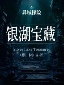 异域探险：银湖宝藏