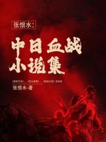 张恨水：中日血战小说集