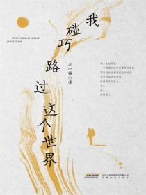 我碰巧路过这个世界