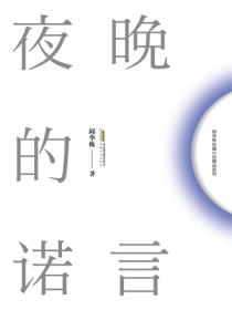 邱華棟長篇小說精品係列夜晚的諾言