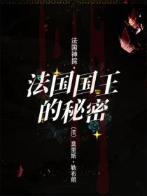 法国神探·法国国王的秘密