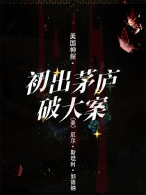 美国神探·初出茅庐破大案