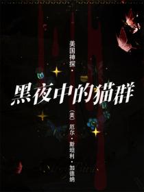 美国神探·黑夜中的猫