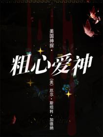 美国神探·粗心爱神
