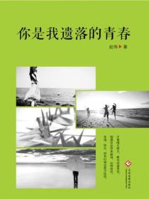 你是我遗落的青春