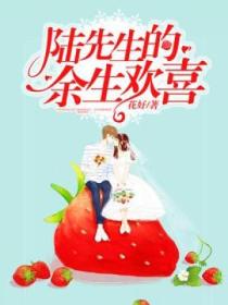 陆先生的余生欢喜