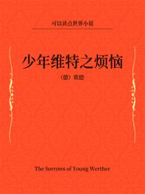 少年维特之烦恼