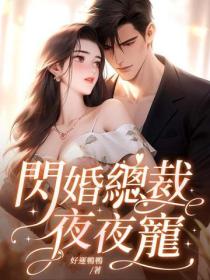 閃婚總裁夜夜寵