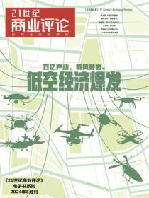 低空经济爆发（《21世纪商业评论》2024年第8期）