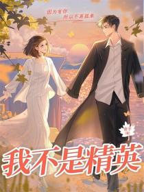 我不是精英（雷佳音、邓家佳主演同名影视原著）