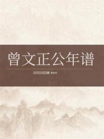 曾文正公年谱