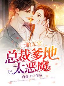 一胎五宝，总裁爹地太恶魔