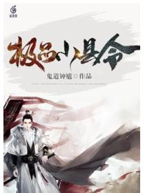 极品小县令