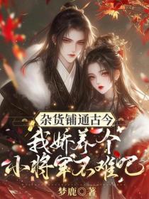 杂货铺通古今，我娇养个小将军不难吧