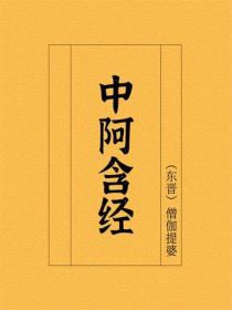 中阿含经