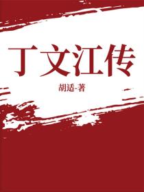 丁文江传