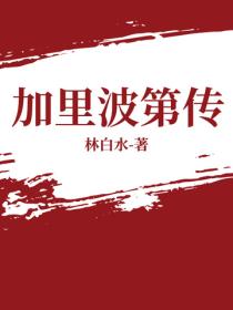 加里波第传