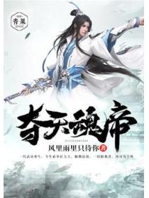 夺天魂帝