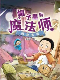 帽子里的魔法师1：神秘来客