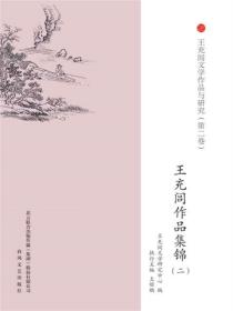 王充闾文学作品与研究：作品集锦二
