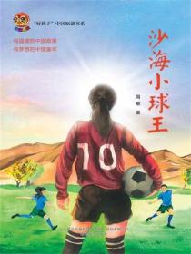 小布老虎好孩子书系：沙海小球王
