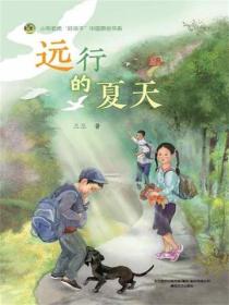 小布老虎好孩子书系·远行的夏天