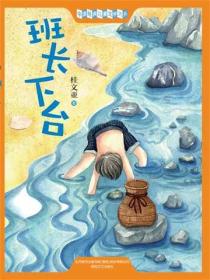 中国经典儿童文学大系：班长下台