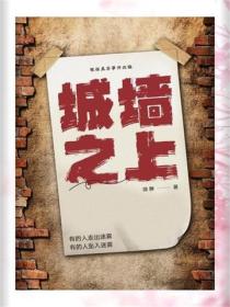城墙之上