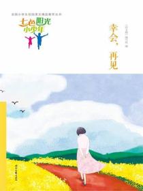 七色阳光小少年：幸会，再见
