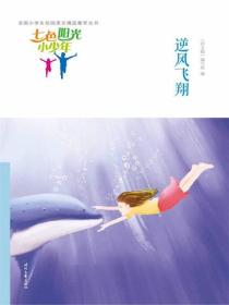 七色阳光小少年：逆风飞翔