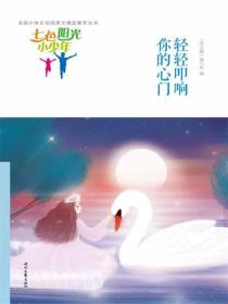 七色阳光小少年：轻轻叩响你的心门