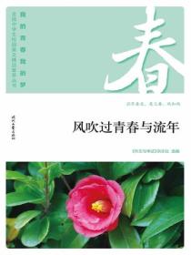 “我的青春我的梦”（春）风吹过青春与流年