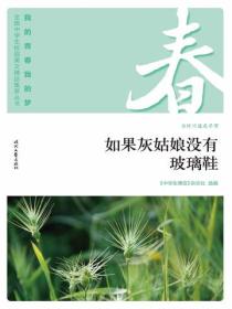 “我的青春我的梦”（春）如果灰姑娘没有玻璃鞋