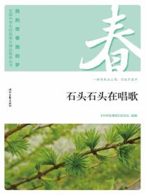 “我的青春我的梦”（春）石头石头在唱歌